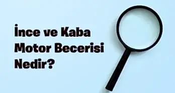 İnce ve Kaba Motor Becerisi Nedir?