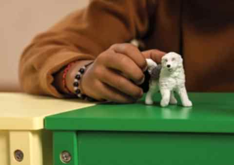 İngiliz Çoban Köpeği