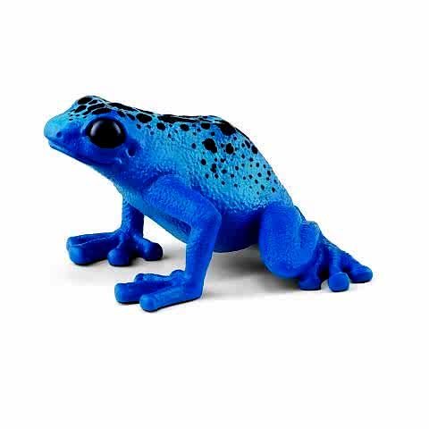 Zehirli Dart Kurbağası