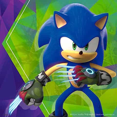 3x49p Puzzle Sonic