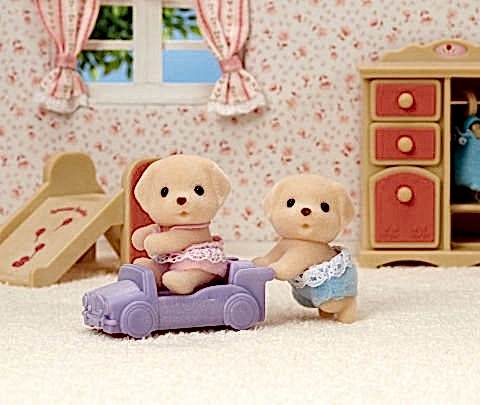 Sarı Labrador İkizler