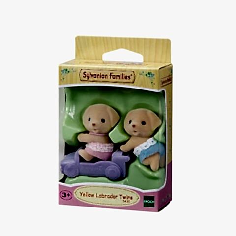 Sarı Labrador İkizler