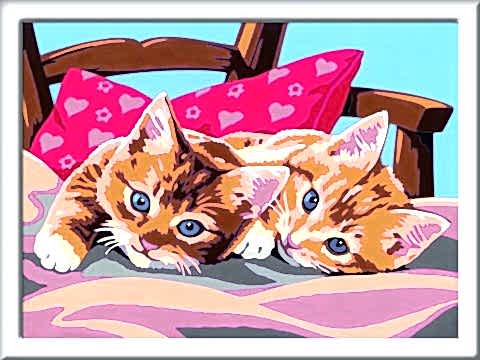 Creart Kedicikler - Sayılarla Boyama Hobi Seti