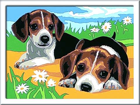 Creart Beagle Yavruları - Sayılarla Boyama Hobi Seti