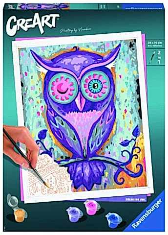 Creart Rüya Gibi Baykuş - Sayılarla Boyama Hobi Seti
