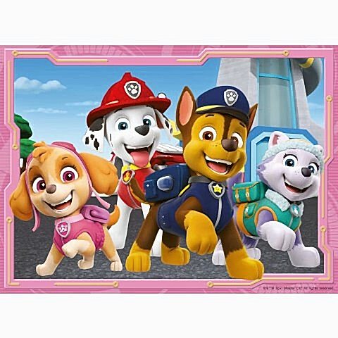 4 Puzzle Tek Kutuda Paw Patrol 12/16/20/24