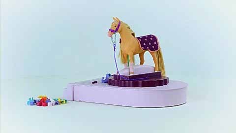 At Bakım İstasyonu