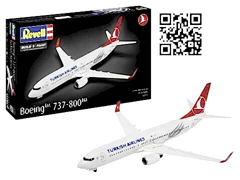 Türk Hava Yolları/Turkish Airlines Boeing 737-800