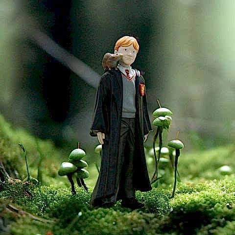 Ron Weasley Scabbers