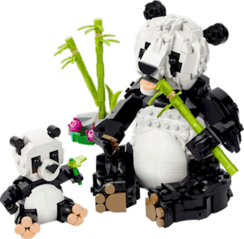 LEGO® Creator 3'ü 1 Arada Vahşi Hayvanlar: Panda Ailesi Oyun Seti 31165
