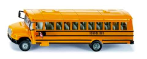 Amerikan Okul Servisi