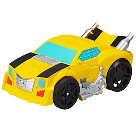 TRA EVERGREEN FEATURED AST