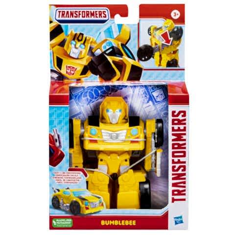 TRA EVERGREEN FEATURED AST