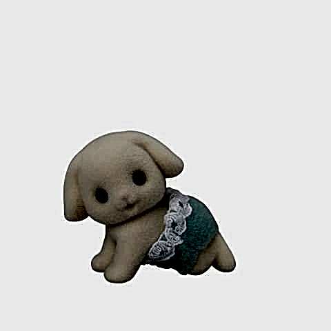 Flora Tavşan İkizleri