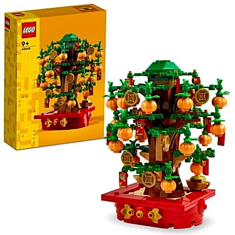 LEGO® Para Ağacı 40648
