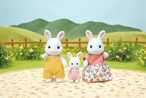 Kar Tavşanı Ailesi